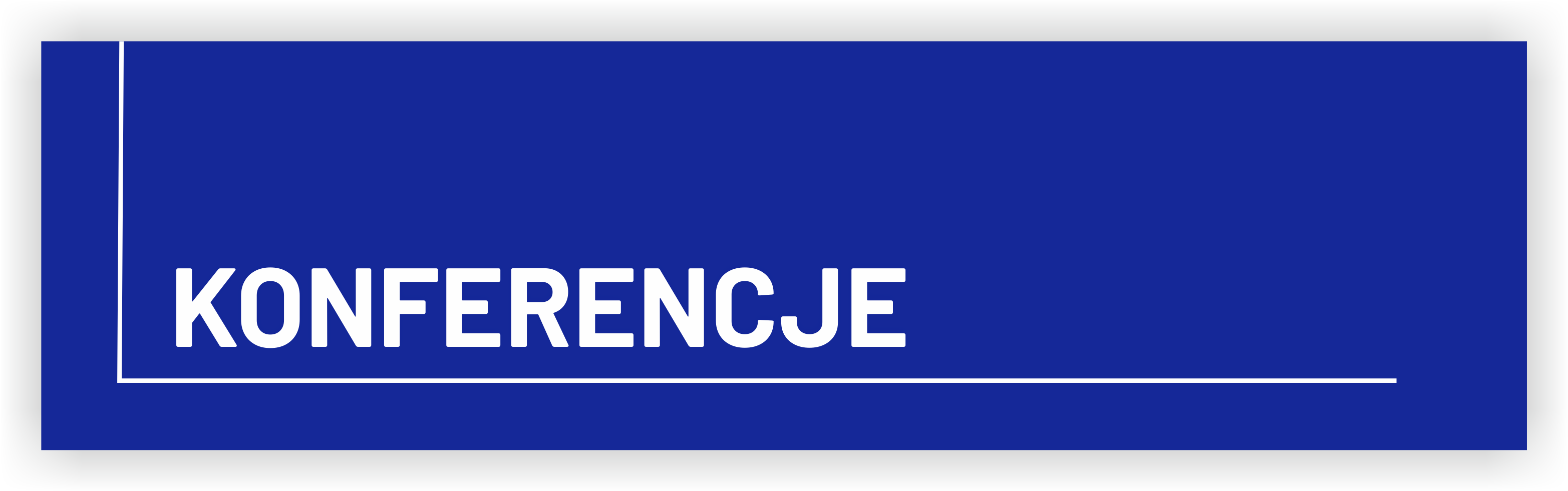 Konferencje IBDiM